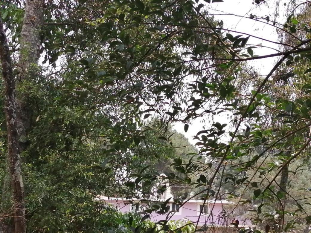 Hotel Bosques Zacatlán Exterior foto